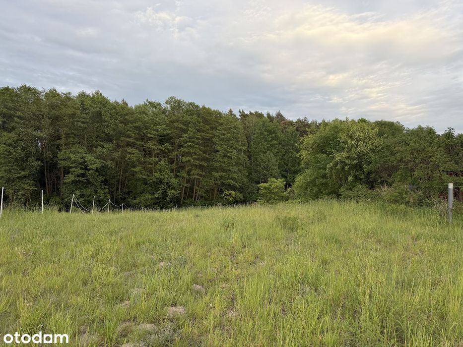 Działka z WZ 3000 m² w malowniczej spokojnej okolicy - Więcej