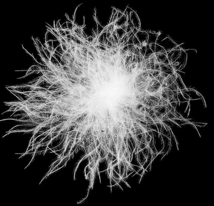 довга куртка пальто