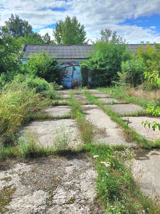 Продаж виробничо-комерційного приміщення в  (Багачеве).
