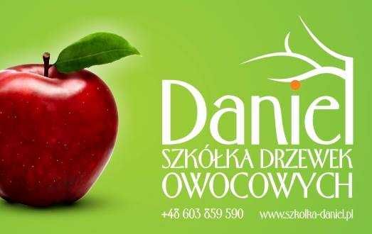 Drzewka owocowe - stare i nowe odmiany