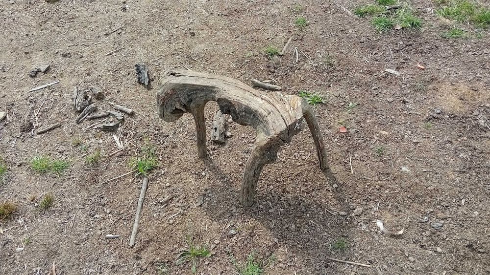 Bancos /burros ou mochos