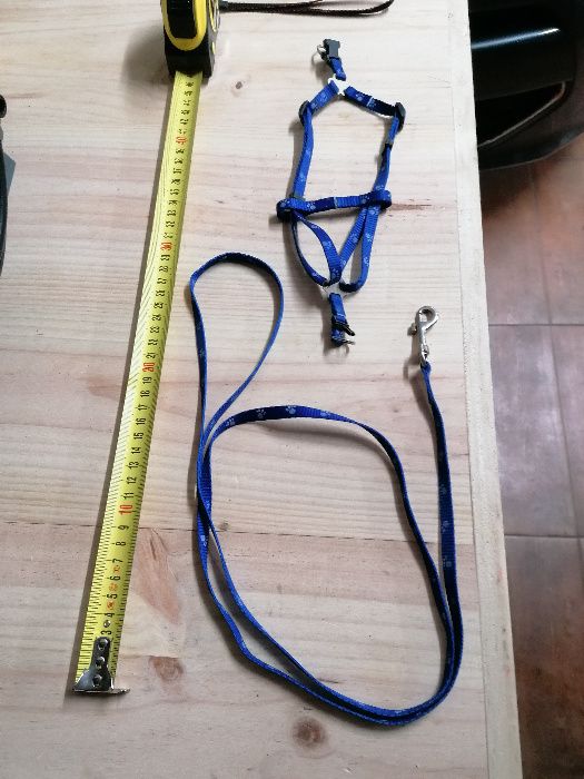 Peitoral para cão pequeno - Pincher