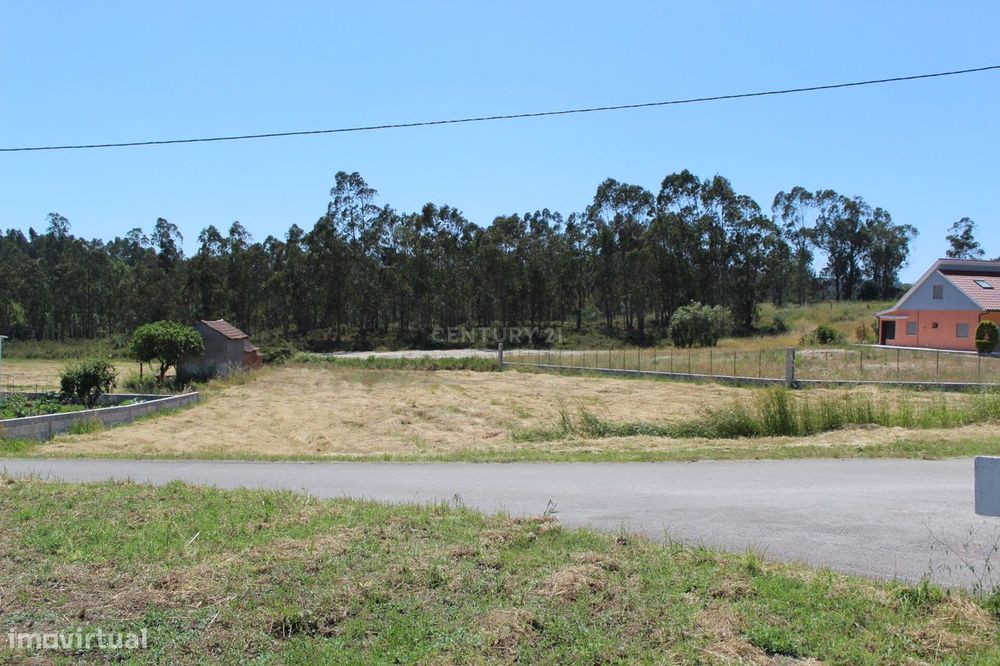 Terreno Almagreira - Pombal — Almagreira, Leiria