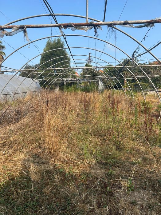 Limpeza e corte de mata e jardins
