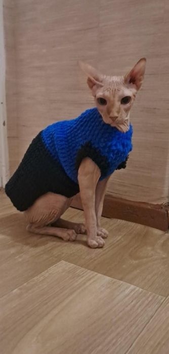 Одежда на кошек, собак,, сфинксов