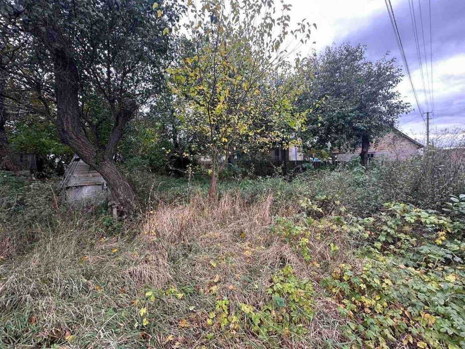 Продаж будинку село Липовий Скиток земля 53 сотки