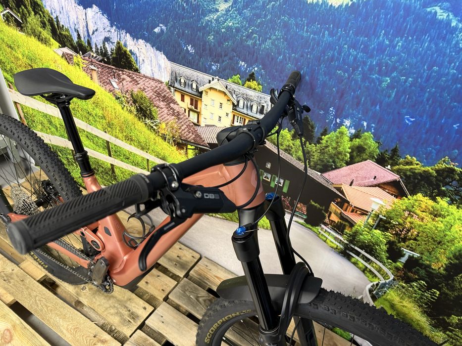 Scott Genius 920 Contessa Roz S