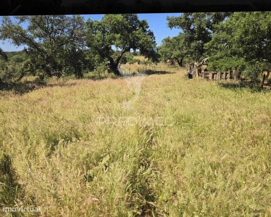 Terreno Misto 0,675 hectares
