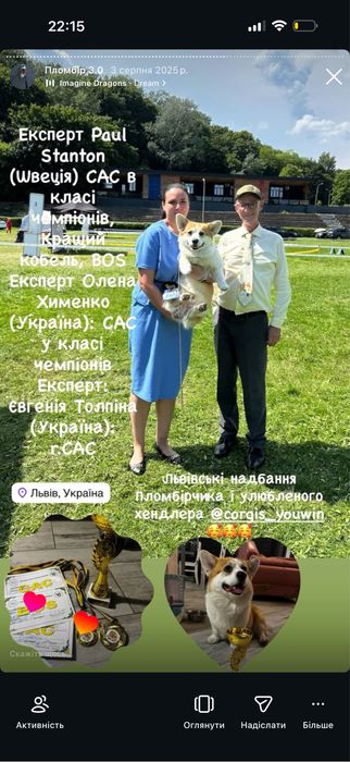 Вʼязка  кобель вельш коргі пемброк