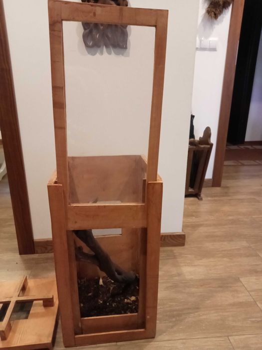 terrarium pionowe dla kameleona, gekona