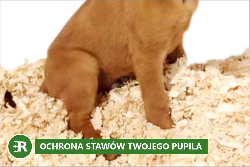 Odpylone trociny ProBioBED Classic dla psów 550 l (15 kg)