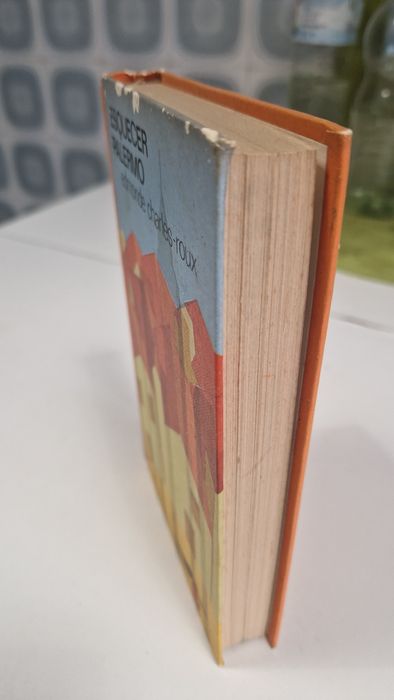 Livro Esquecer Palermo