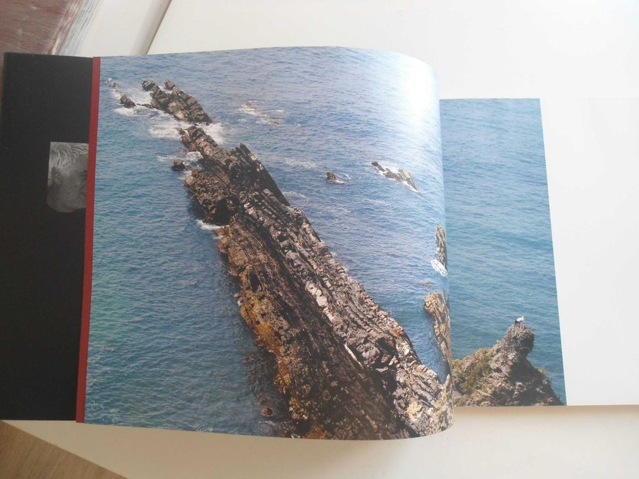 O Silêncio das Cegonhas de Carlos Inácio e Pedro Inácio