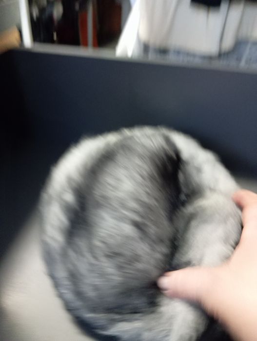 Czapka puchata damska