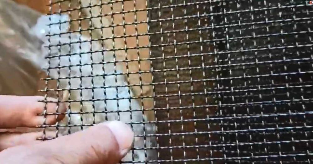 кабакова сіточка металіческа