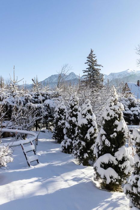 ZIMA apartament z widokiem na Tatry kominek
