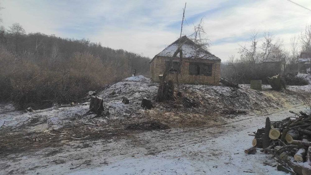 Розчистка території. Обрізка плодового саду. Послуги садівника