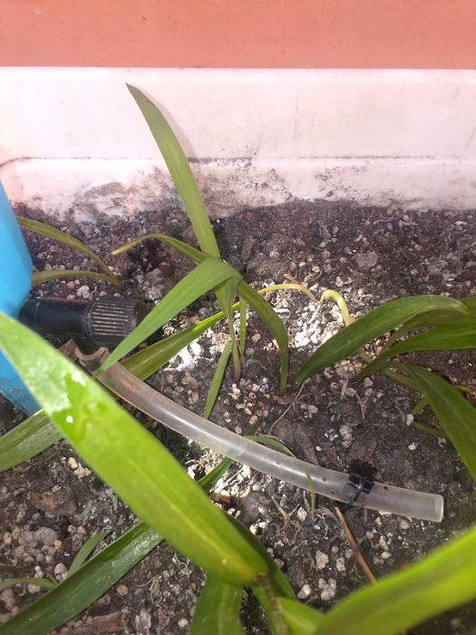 Насадка для капельного полива на бутылку с регулятором.