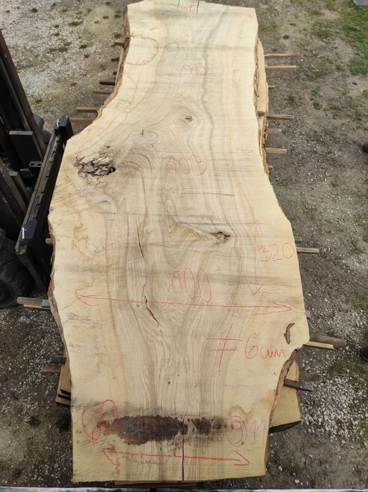 Blaty jesionowe, bale, monolit, po suszarni