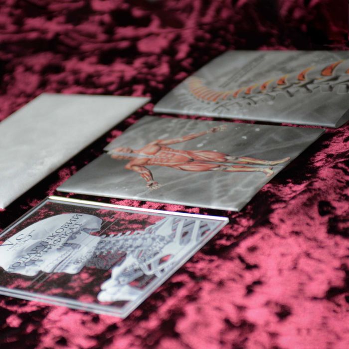 Графічний дизайнер