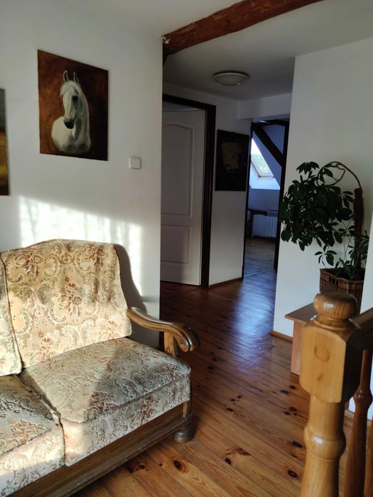 Domek, mazury, pokoje, balia sauna, imprezy integracyjne, urodziny