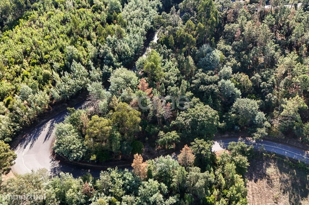 Terreno em Folques, Arganil