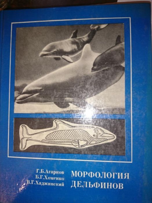 Этнические стереотипы поведения