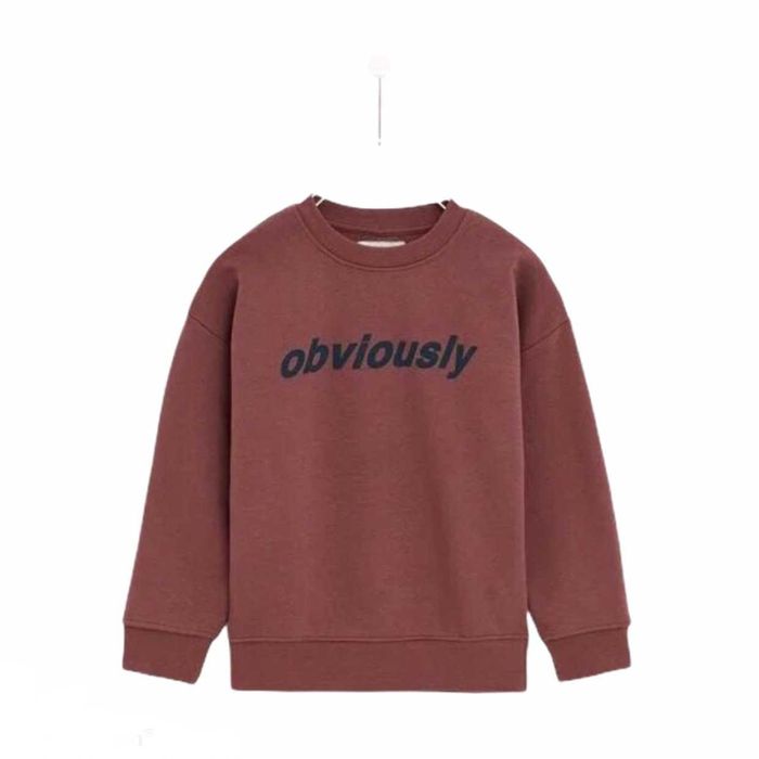 Bluza oversize, przeskalowana, kolor śliwkowy, Obviously Zara r. S/M