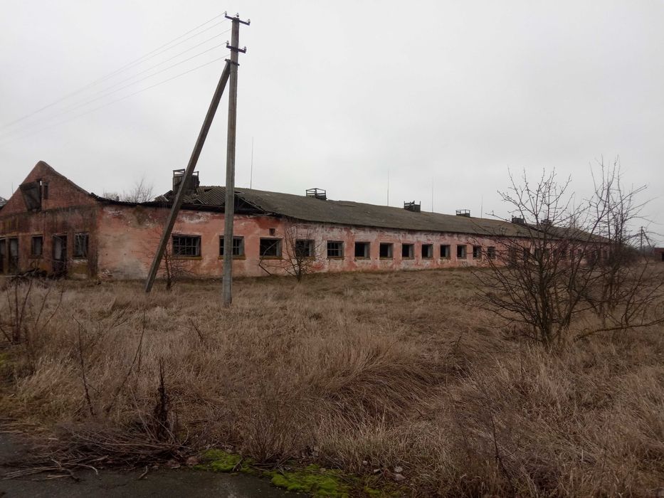Продам фермерське господарство та сільськогосподарські  будинки