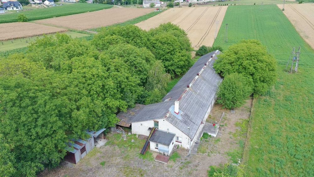 Budynek gospodarczy 1000 m² | działka 32,51 ar | Roźwienica