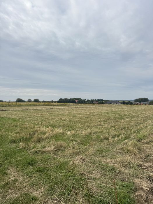 Sprzedam działkę z potencjałem budowlanym ulica Marianów Skała wieś - Widok 4