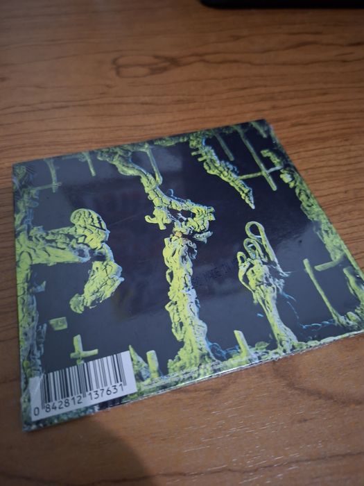 Cd dos King Gizzard and the Lizard Wizard
