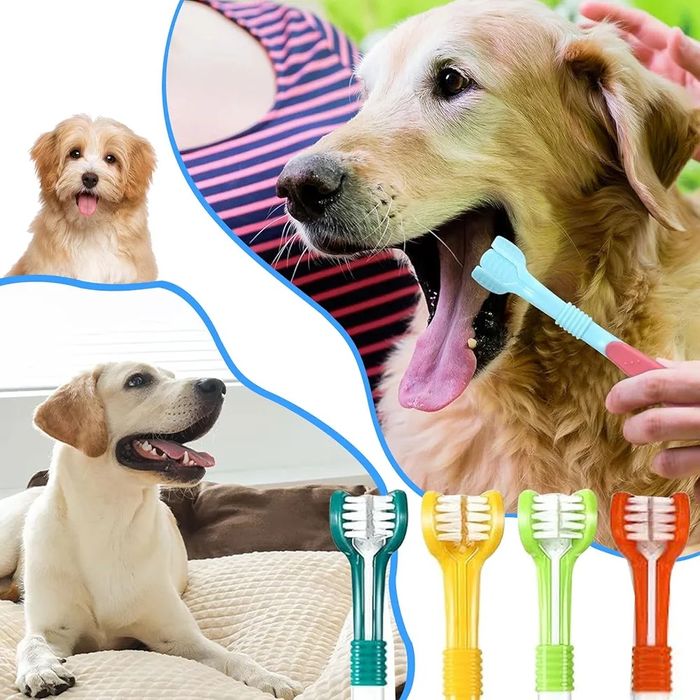 Zestaw 14 szczoteczek do zębów dla psów