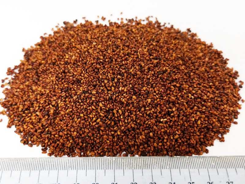 Pestki malin na olej 5 kg suszone