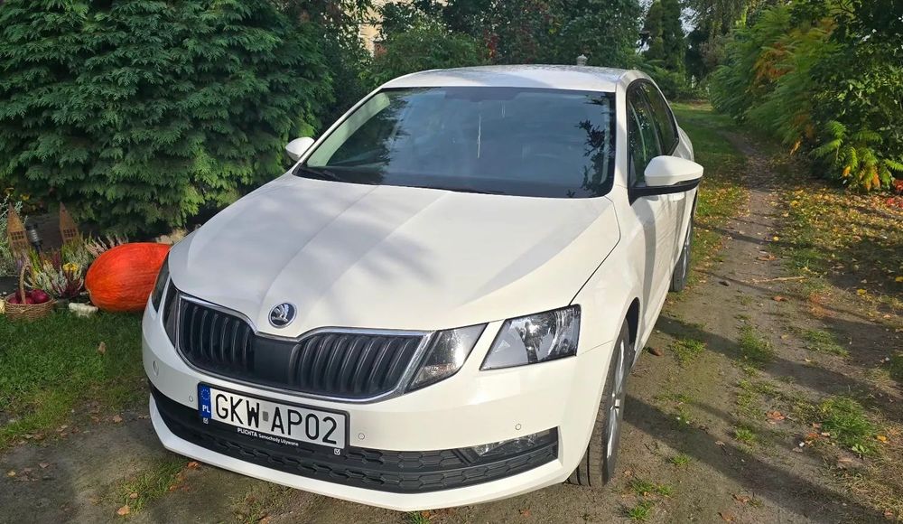 Skoda Octavia Drugi właściciel, samochód cały czas serwisowany, godny polecenia.
