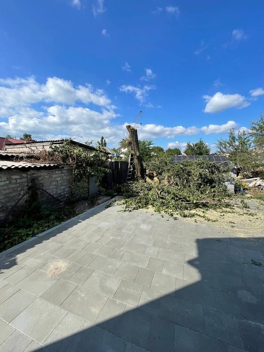 Спил деревьев Бесплатный вывоз