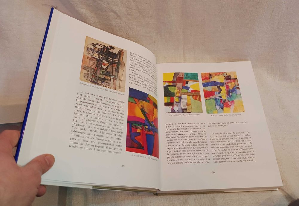 Livro Catalogue Raisonné Maurice Estève