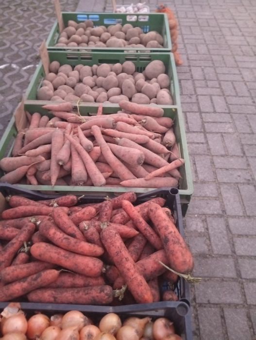 Sprzedam prosto od rolnika