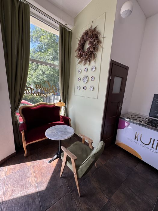 Sprzedam Restauracje bistro funkcjonujaca dochodowa