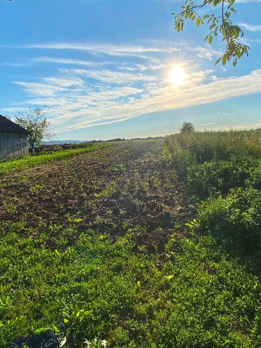 Продається доглянутий будинок разом з Літньою кухнею в с. Сусідовичі