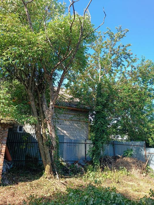Обрізка гілок та дерев у важкодоступних місцях та умовах