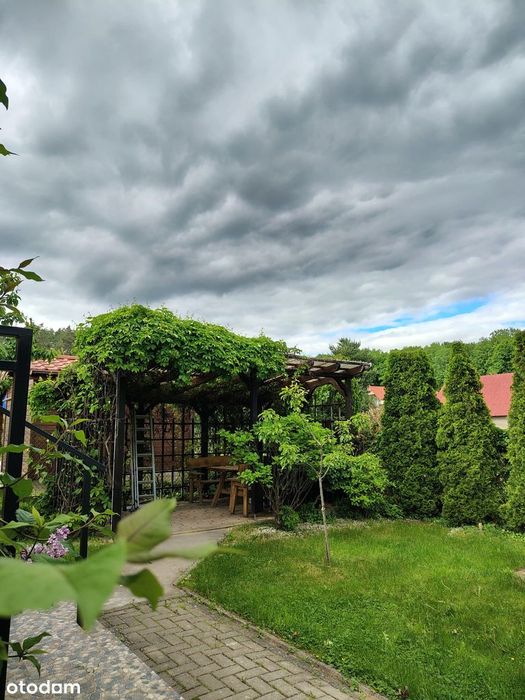 Dom do wejścia Dąbrowa Białostocka
