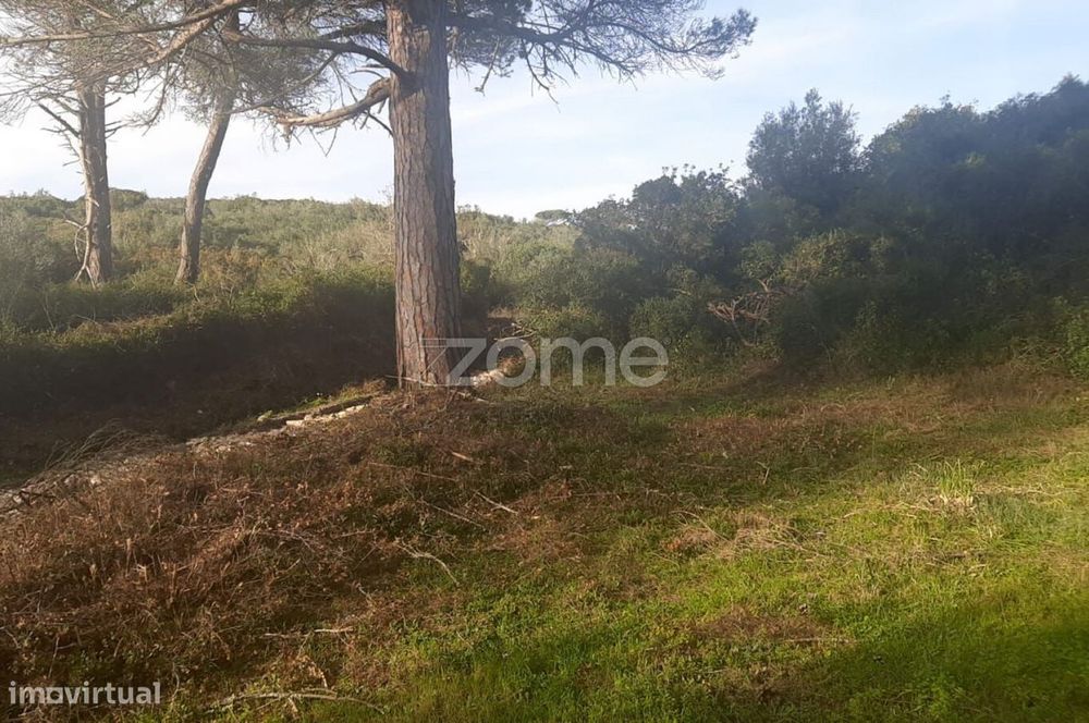 Terreno Rustico, União das freguesias de São das lampas e terrugem