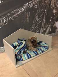 Cama para online gatos olx