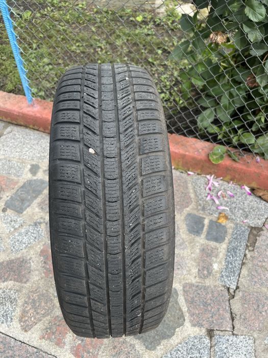 Продам скат в доброму стані.