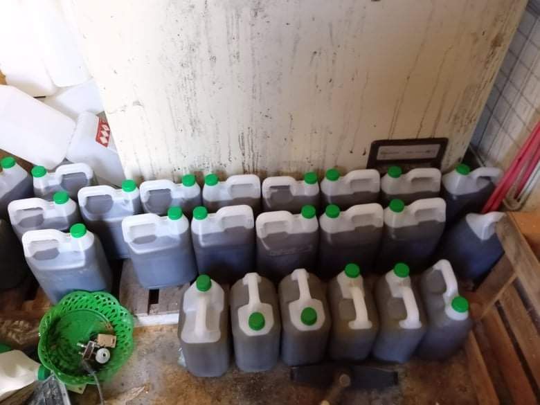 Azeite Caseiro Novo Virgem Extra