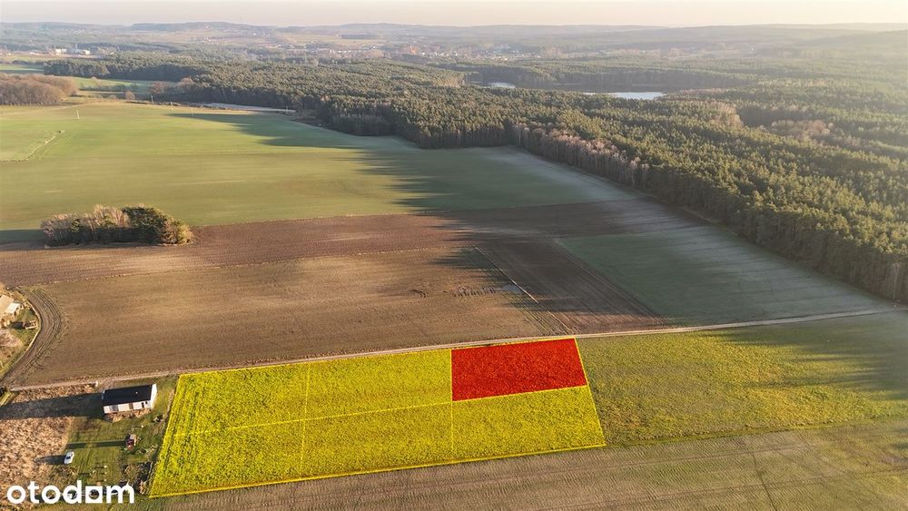 Działka Budowlana Myślniew | Przy Lesie I Zalewie
