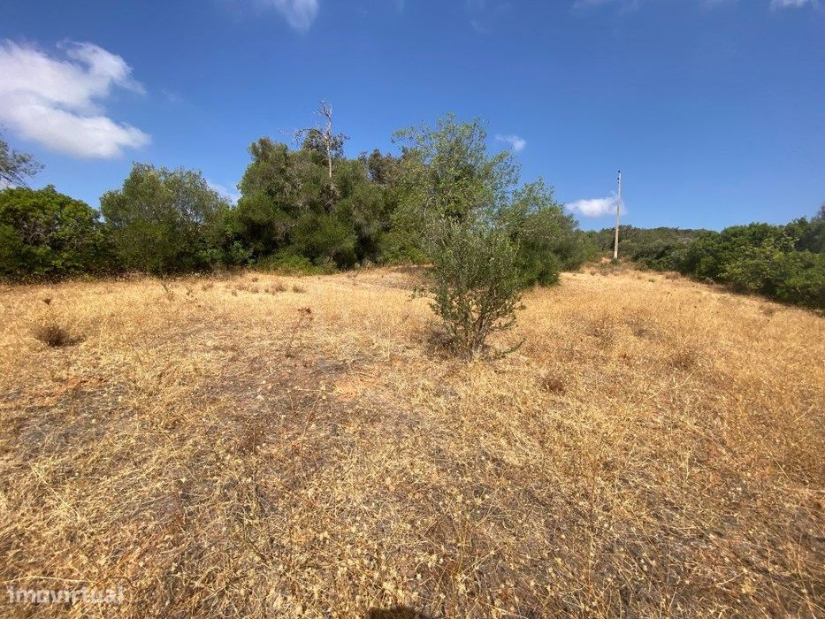 Lote de Terreno Rústico no Serro dos Passarinhos, Loulé, Algarve