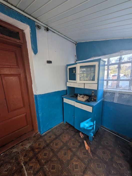 Продам будинок с. Копиткове