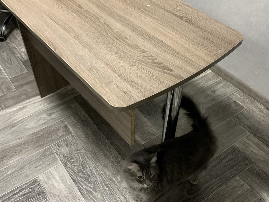 Стіл письмовий деревʼяний